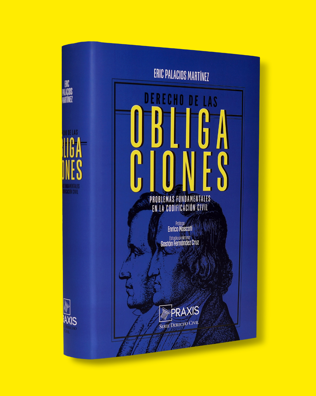 Derecho de las obligaciones. Problemas fundamentales en la Codificación Civil