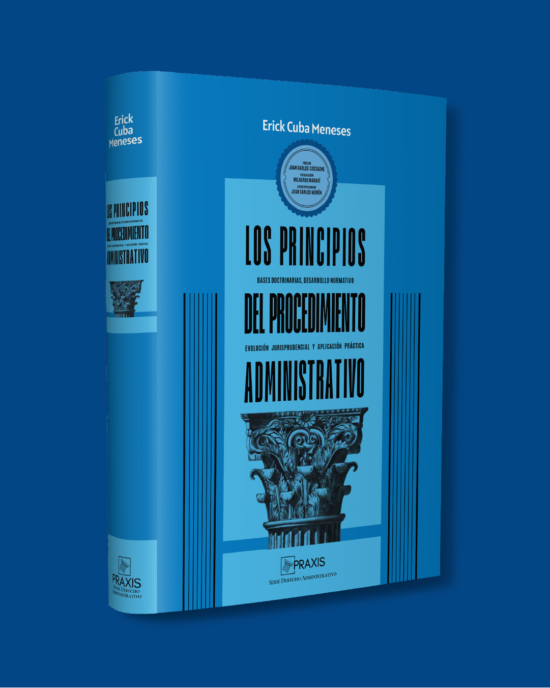 Los principios del procedimiento administrativo