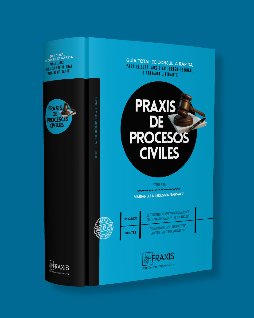 Praxis de procesos civiles