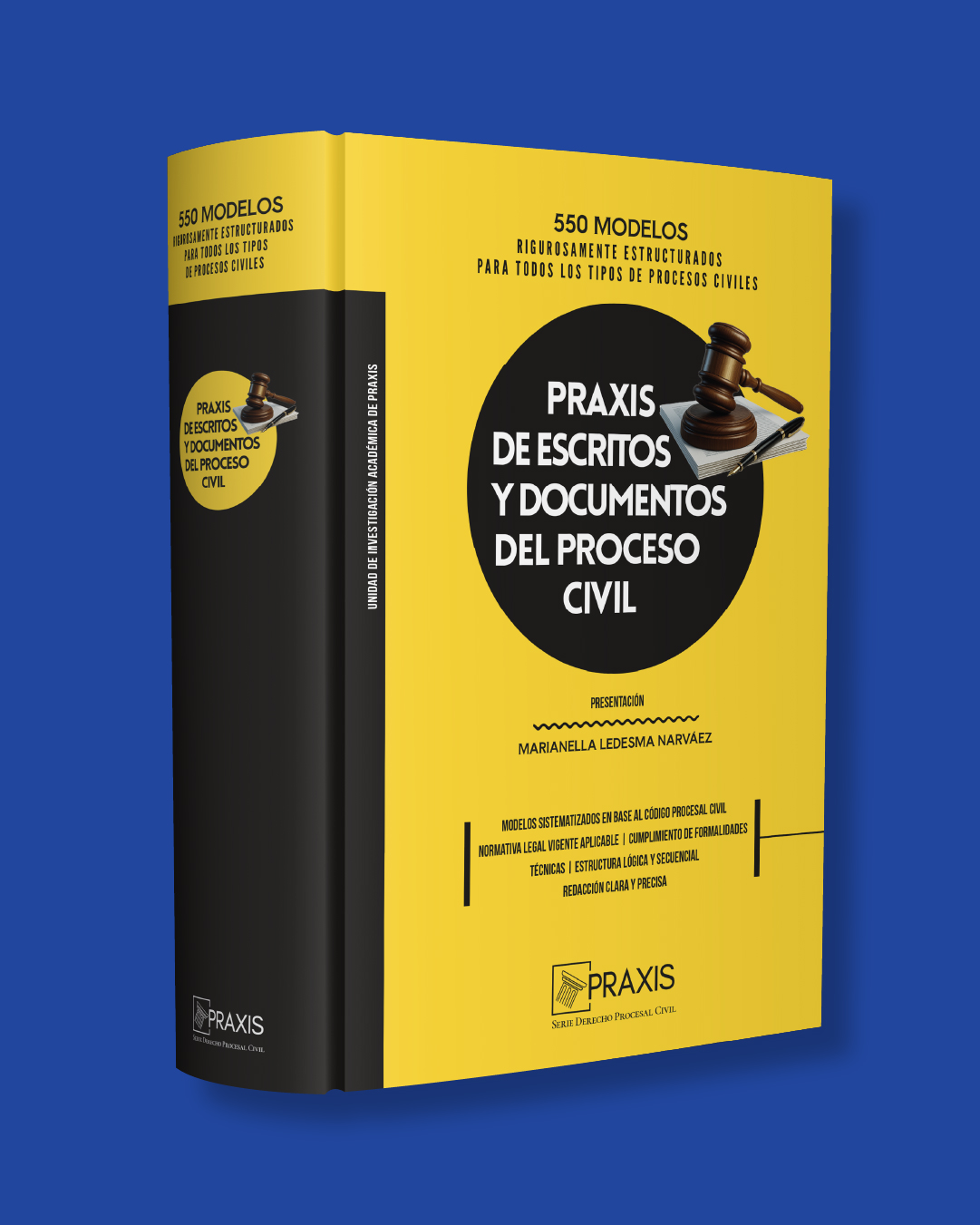 Praxis de escritos y documentos del proceso civil
